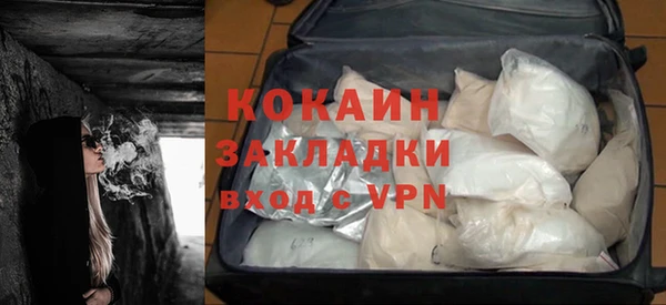 гидра Богородск