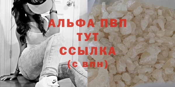гидра Богородск