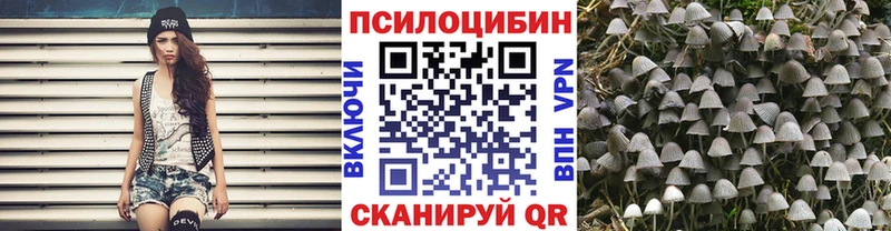 Галлюциногенные грибы Magic Shrooms  как найти наркотики  Бугульма 